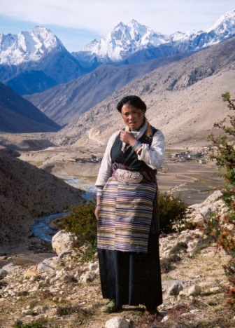 Tibetská pastierka - 3