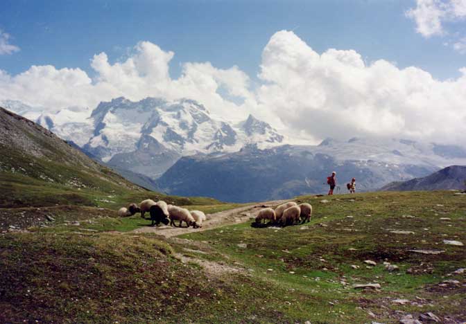 Švajčiarske Alpy. Monte Rosa (pod Matterhornom) - 3