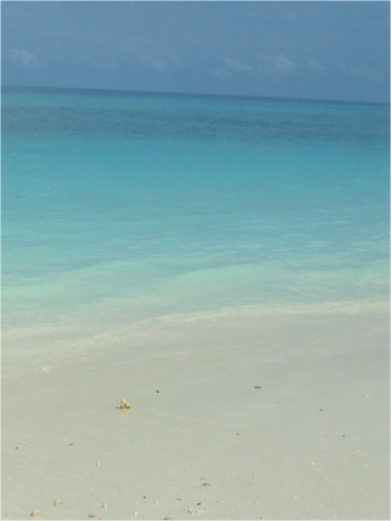 Tanzánia - Nádherná pláž na Zanzibare - 2