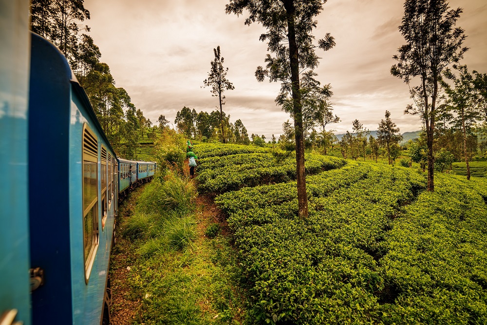 Srí Lanka: To najkrajšie z ostrova vrátane safari a jazdy vlakom