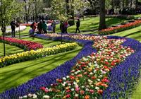 Holandsko - svetoznáma výstava kvetov Keukenhof a Amsterdam - 4