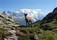 Okolo Mont Blanc - 2