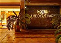 Flamboyan - Caribe Hotel - 4