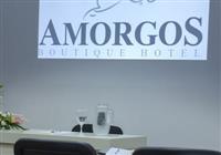 Amorgos Boutique Hotel - 4