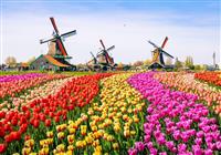 Holandsko - svetoznáma výstava kvetov Keukenhof a Amsterdam  LETECKY - 4