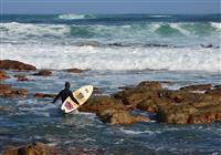 Južná Afrika Total 2020# - Chladný Atlantik na Myse dobrej nádeje je rajom pre surferov a potápačov - 4