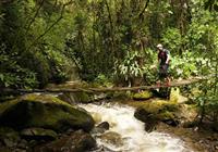 Kolumbia-Ekvádor (Galapágy) 2020 - Ľahký treking džungľou - 3