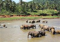 Srí Lanka: To najkrajšie z ostrova vrátane safari (odlet z Košíc) - Pláž - 2