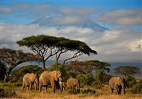Keňa - Dokonale safari a oddych na bielej pláži - 2