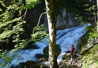 Treffling - Tefflingské vodopády, poznávacie zájazdy, Rakúsko - 2