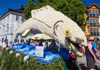 Najväčší kvetinový festival v Rakúsku, vodný zámok Orth a cisárske kúpele Bad Ischl - 3