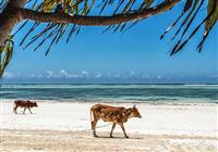 Zanzibar - Rajský ostrov v Indickom oceáne - 4