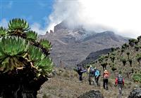 Kilimandžáro cestou Marangu_2020 - 2