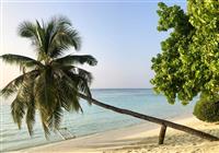 LUX* South Ari Atoll Resort & Villas - 4