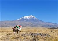 Legendárny Ararat s Ľubošom Fellnerom - Legendárna hora. Biblický hora. Ararat a príbeh potopy sveta. Práve tento ikonický a krásny vrch je  - 2