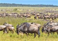 Off-road safari a kmene Tanzánie - Serengeti je snom každého milovníka prírody. Kto by nechcel vidieť Veľkú migráciu, Veľkú päťku a mno - 2