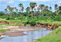 Vstúpte s nami do málo poznaného parku Tarangire, ktorého rovnomenná rieka priťahuje obrovské množst