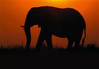 /uploads/galleries/7302/tri-krajiny-afriky-safari-a-plaz.jpg
