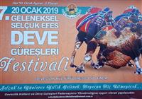 Turecko - ťaví festival - Každoročne sa tu v januári odohráva šampionát v ťavích súbojoch. Tieto zápasy sú čisto tureckou zále - 2