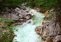 Jednodenní výlet k jezeru Bohinj s návštěvou vodopádu Savica - 4