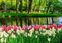 Květinový park Keukenhof s návštěvou Amsterdamu - 2