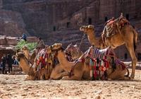 Jordánsko: Petra, púšť Wadi Rum a Červené more - Pláž - 4