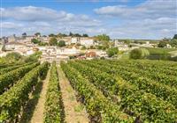 Bordeaux vínna cesta pre gurmánov s výletom  - Bordeaux vínna cesta - vínne sady - 2
