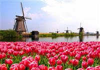 Holandsko a květinové korzo - NIZOZEMSKO - 3