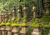 Dovolenka v Japonsku a ostrov Guam - Mimo svätyne Kasuga sú v parku roztrúsené zase kamenné lampióny zarastené machom. foto: Eva Andrejco - 3