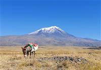 Výstup na Ararat - Legendárna hora. Biblický hora. Ararat a príbeh potopy sveta. Práve tento ikonický a krásny vrch je  - 2