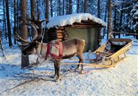 Laponsko - cesta za Santa Clausom - Apukka Resort - 4