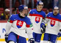 Zájazdy na MS v hokeji 2023 (Lotyšsko + Fínsko) - 2