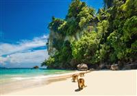 Phuket, Phi Phi, James Bond Island a sloní sirotinec - Pláž - 3