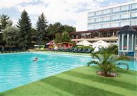 Splendid Ensana Health Spa - Vonkajší bazén v hoteli Spa Hotel Splendid - 2