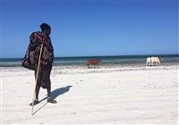 Zanzibar - Luxusné safari v Afrike s pobytom pri mori - 4