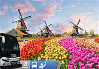 3-dňový zájazd do Holandska s návštevou kvetinovej výstavy - 2