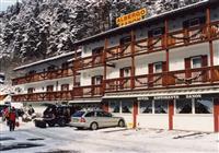 Hotel Zanon - 2